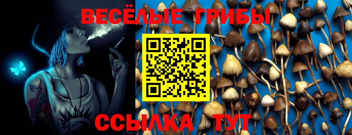 Псилоцибиновые грибы Cubensis  Псилоцибиновые грибы прущие грибы  Вход с VPN  Аксай 