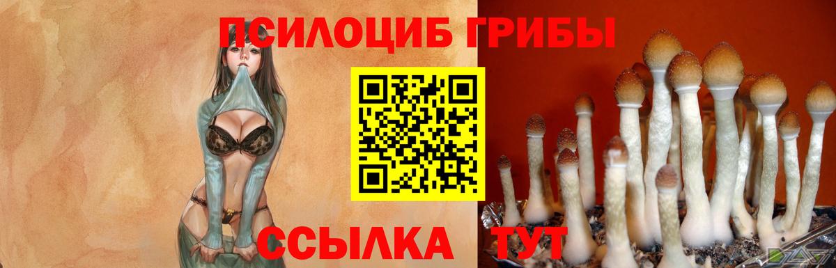 Псилоцибиновые грибы MAGIC MUSHROOMS Аксай
